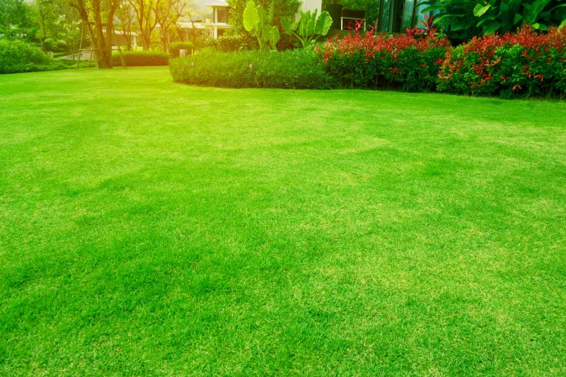 Lawn Regrading