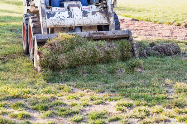 Landscape Leveling Service